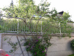 DSCN1327.JPG